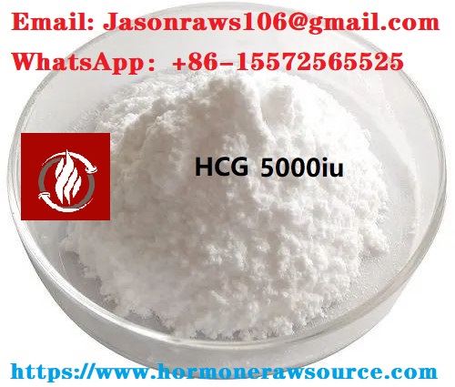 Hcg (human chorionic gonadotropin) bubuk untuk binaraga cas: 9002-61-3