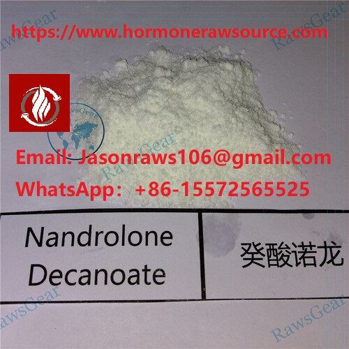 Nandrolone Decanoate (DECA) Steroids Powder for Bodybuilding CAS: 360-70-3