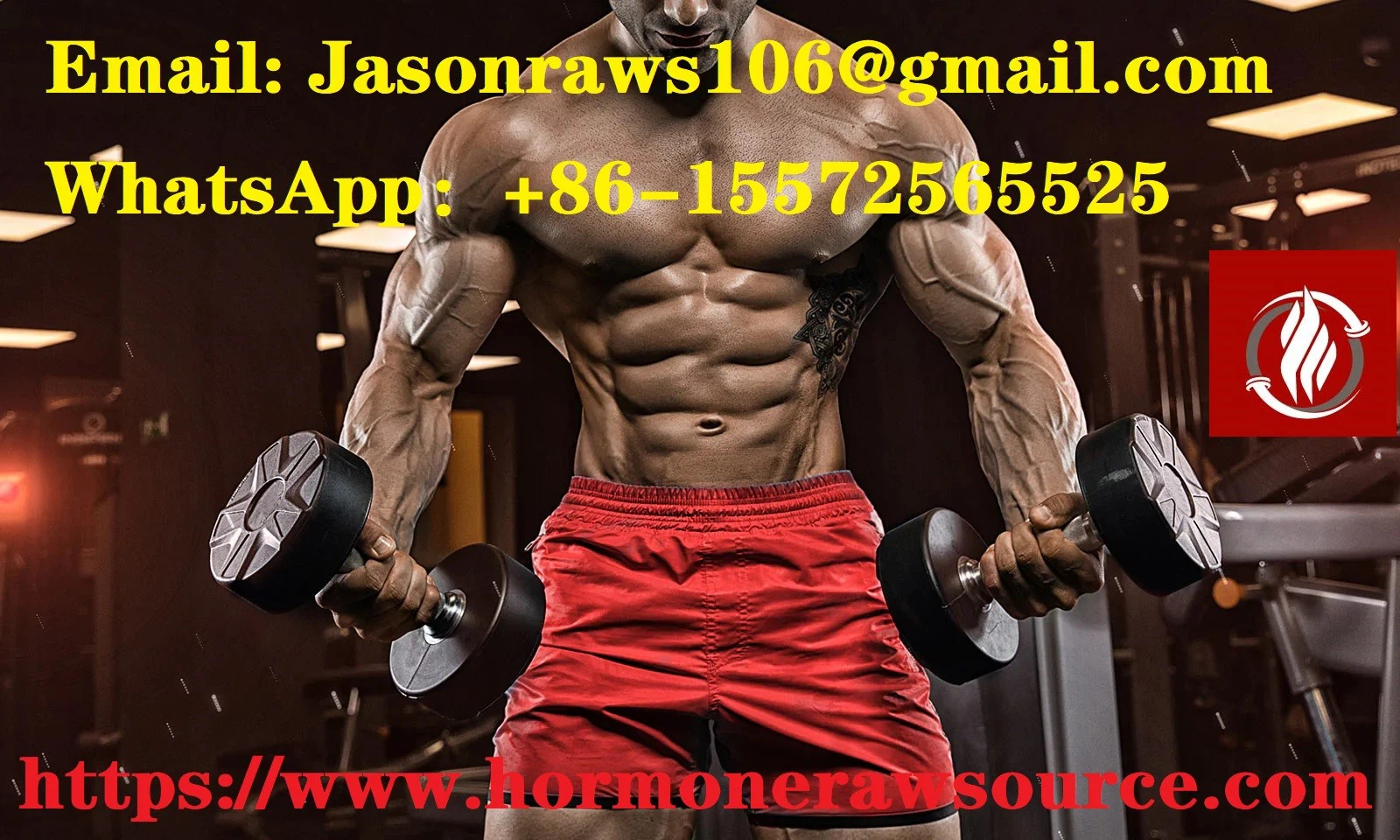 The-Downsides-of-Being-a-Bodybuilder The-Downsides-of-Being-a-Bodybuilder