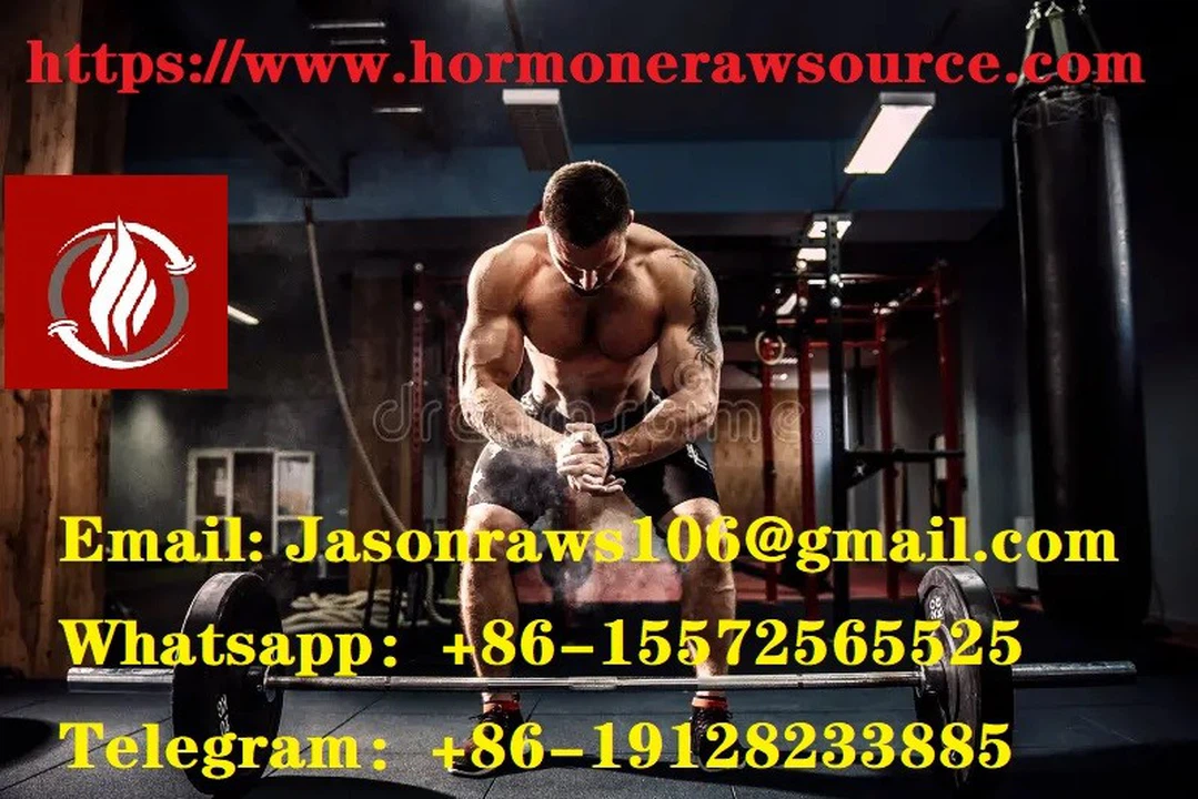 bodybuilding bodybuilding