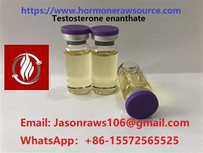 BNP Testosteron Enanthate Bodybuilding CAS:315-37-7
