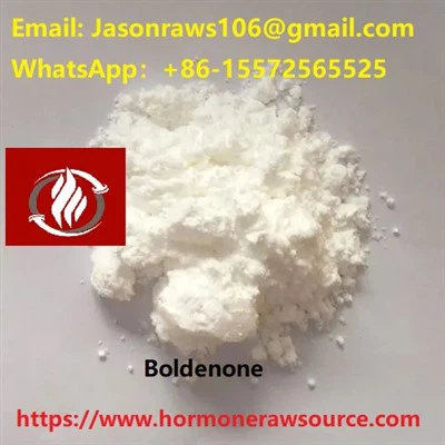 CAS Binaraga Serbuk Boldenone:846-48-0