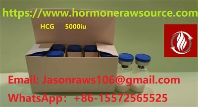 HCG (Gonadotropin Korionik Manusia) 5000IU untuk Binaraga CAS: 9002-61-3