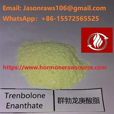 Bubuk Trenbolone Enanthate Berkualitas Tinggi Untuk Binaraga CAS:1629618-98-9