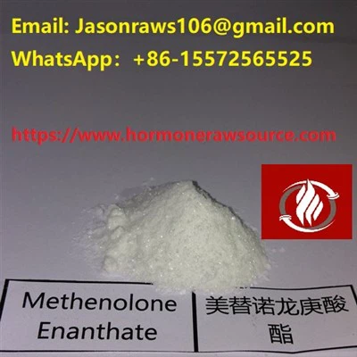 Binaraga Serbuk Methenolone Enanthate CAS:303-42-4