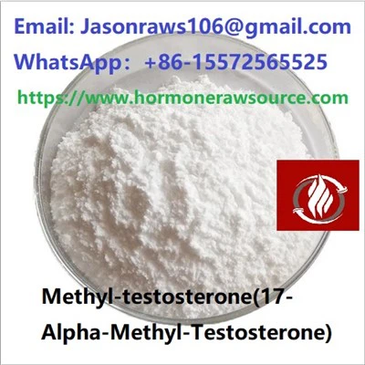 Metiltestosteron(17 -Metiltestosteron) Untuk Binaraga CAS:58-18-4