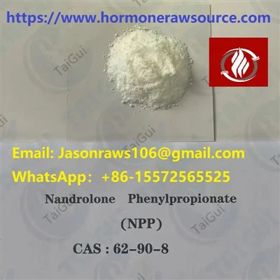 Nandrolone Phenylpropionate (Durabolin) Untuk Binaraga CAS:62-90-8