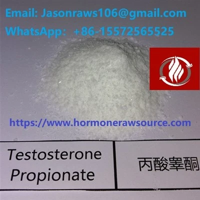 Bubuk Propionat Testosteron Premium Untuk Binaraga CAS:57-85-2