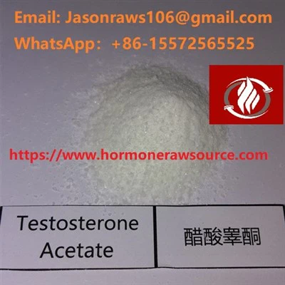 Binaraga Bubuk Testosteron Asetat CAS:1045-69-8