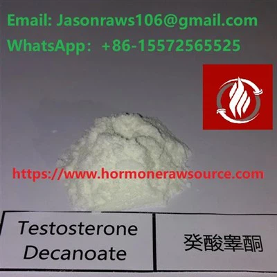 Testosteron Decanoate(Deca Durabolin)Bubuk Binaraga CAS:5721-91-5