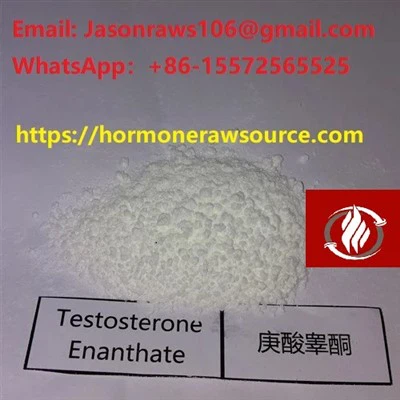 Testosteron Enanthate Powder Binaraga CAS:315-37-7